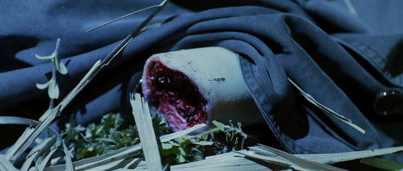 �װ�� 02.mp4_1703352156266.png