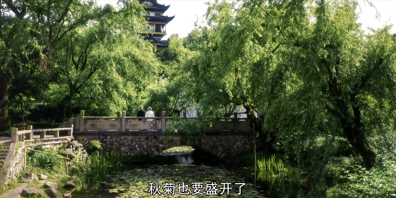 �ʲ�ã 02.mp4_1705252384610.png