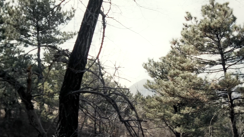 ���Ӣ�� 06.mp4_1707484018202.png